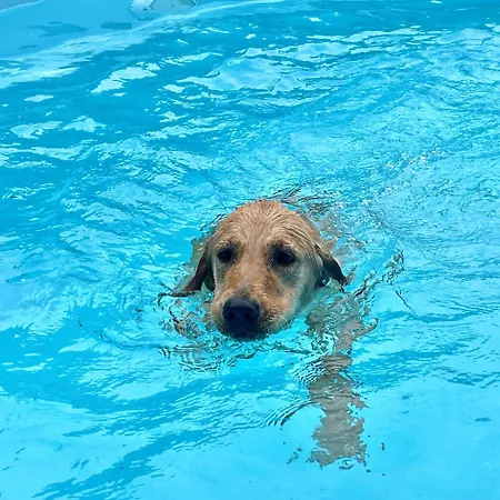 Casa Lory Apartamento