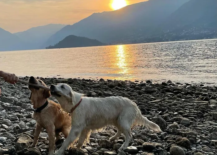 Casa Lory Appartement