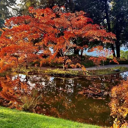 Casa Lory Lägenhet *